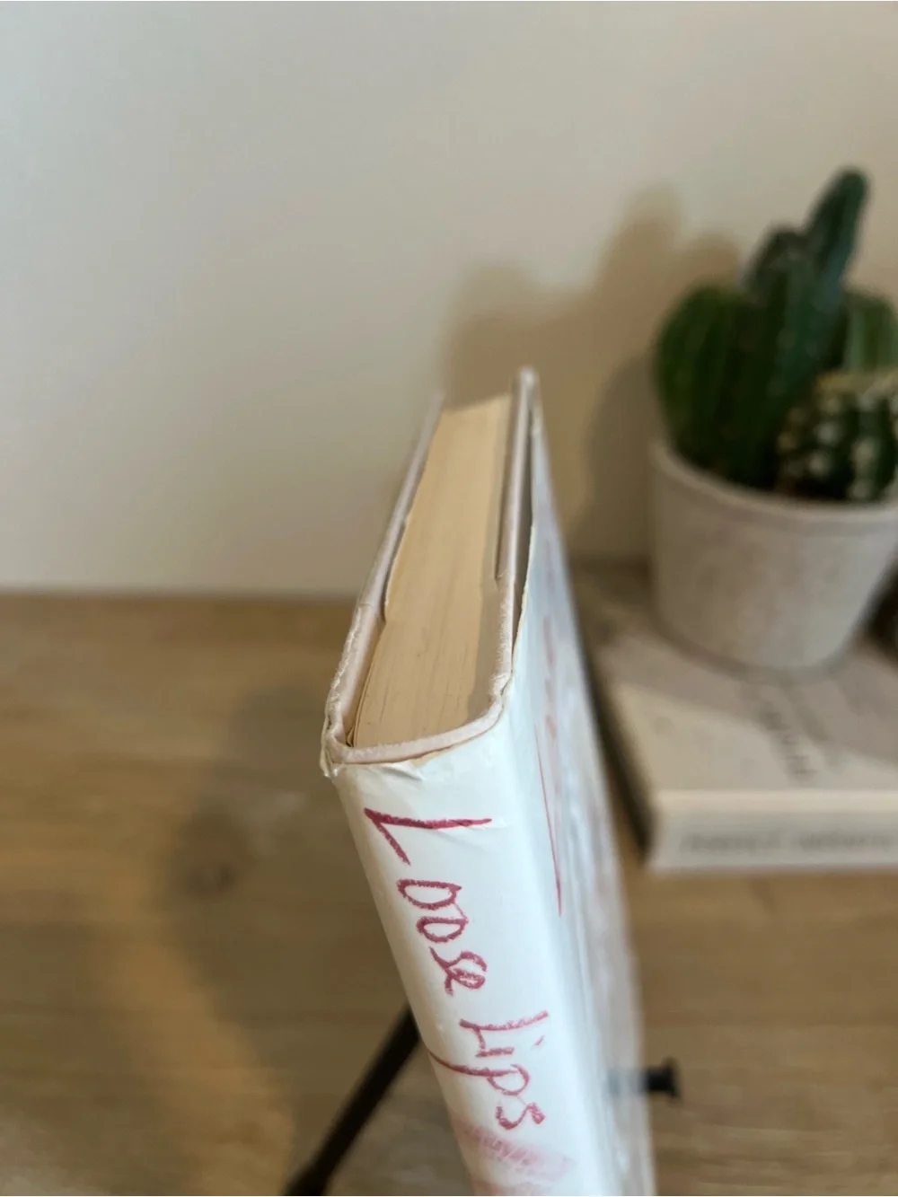 Loose Lips Claire Berlinski Hardcover 2003 First Edition CIA Fiction Novel
